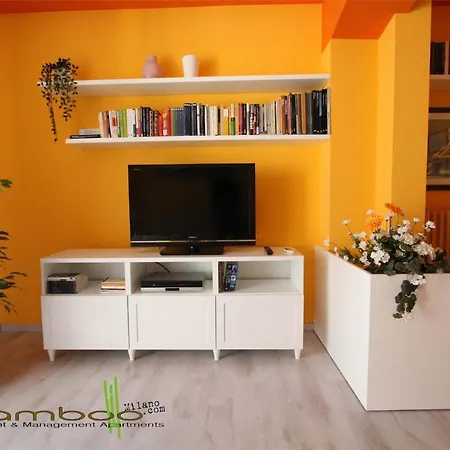 Bamboo Ebro * Milan